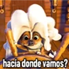 hacía donde vamos?
