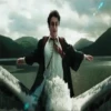 Harry Potter 25