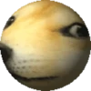 лучшее из SHITPOST 6