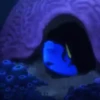 Dory (Finding Nemo) 16