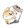 Gatitos divertidos😂 15