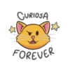 Emojis gatito 😽🙀 7