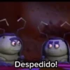 Despedido!