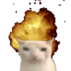 лучшее из SHITPOST 19