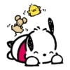 Pochacco 17
