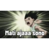 Gon 13