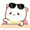 Meowwww catt 14