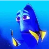 Dory (Finding Nemo) 14