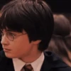 Harry Potter 21