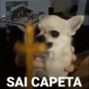 Cachorrinhos 16
