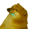Sukritisdoggo 8