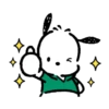 Pochacco 24