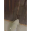 Sukritisdoggo 20