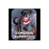 Perrito!! 🐩🐕 7