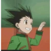 Gon 14