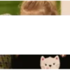 MEMES E DEBOCHE KKK 13