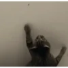 Sapecagens 10