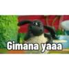 Gimana yaaa