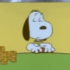 Snoopy. | @ocenferios  Haki. 11