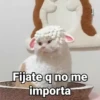 Gatitos Locos 2😼 9