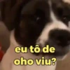 Doguinhos + reações 🐾 19