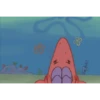 Bintang Laut Nickelodeon 12