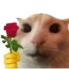 GATINHOS ANIMADOS 14