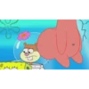 Bintang Laut Nickelodeon 7