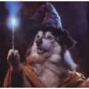 Perro Mago pa'tu chat🪄🔮✨️ 13