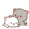 Bucin 14
