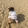Ada adik ritsuki  12