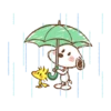 Snoopy 24