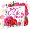 Día de la Madre👣3🇨🇴Movi 7