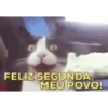 Bom dia/ segunda-feira  19