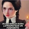 20 años JUNTOS GATITA MOV. 13