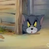 Tom and Jerry stickers  9
