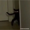 Gatos tiktok  6