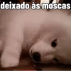 🐕 Coitadolândia de Cachorrinho 13