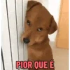 🐕 Coitadolândia de Cachorrinho 23