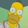 Homero Simpson 8