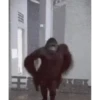 MACAQUINHO GIF 18