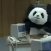 🐼 PANDA MIX 🐼 15