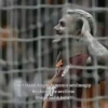 Galatasaray 16