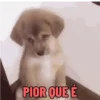 🐕 Coitadolândia de Cachorrinho 20