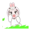 Momo the Bunny G144👩🏻‍🎨1712 9