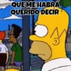 Homero Simpson 17