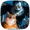 Gatitos💞10🇵🇪Clásica 13