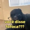Doguinhos + reações 🐾 24