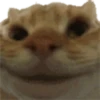 Sí que sí🙂‍↕️ 10