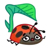 Catarinas 1 🐞 MOV. 🇲🇽 21